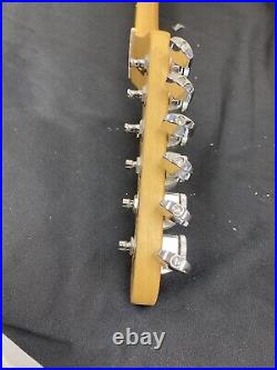 2020 Fender Stratocaster American Professional 22 Fret Maple Neck WithTuners USA