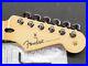 2021_Fender_Player_Series_Strat_Maple_NECK_TUNERS_Stratocaster_Electric_Guitar_01_dolt