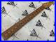 2022_Fender_Player_Plus_MIM_Stratocaster_Neck_01_tajp