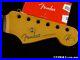 2022_Fender_Robert_Cray_Stratocaster_NECK_Guitar_Strat_Rosewood_C_Shape_Chunky_01_pd