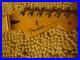 2023_Fender_Player_Stratocaster_Strat_Neck_Tuners_Maple_Board_22_Fret_Excellent_01_hge