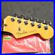 2024_Fender_American_Ultra_Strat_Rosewood_Neck_Tuners_USA_Stratocaster_Guitar_01_lbq