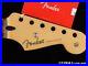 21_Fender_Player_Stratocaster_Strat_NECK_Modern_C_Shape_Parts_Pau_Ferro_01_nn