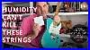 3_Gigs_2_Sessions_And_A_Lightning_Strike_D_Addario_Xs_Strings_Still_Going_Ask_Zac_244_01_us