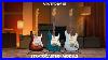 Exploring_The_Vintera_III_Stratocaster_Models_Vintera_III_Fender_01_foux