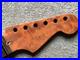 Fender_Acoustasonic_Stratocaster_guitar_neck_01_ej