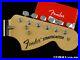 Fender_Albert_Hammond_Jr_Vintage_70s_Stratocaster_Strat_NECK_TUNERS_Rosewood_01_oa
