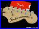 Fender_Albert_Hammond_Jr_Vintage_70s_Stratocaster_Strat_NECK_TUNERS_Rosewood_01_uzha