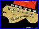 Fender_American_Performer_Stratocaster_NECK_TUNERS_USA_Strat_Rosewood_01_ifbf