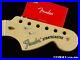 Fender_American_Performer_Stratocaster_NECK_USA_Strat_Modern_C_MN_Maple_01_dmx