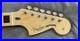 Fender_American_Pro_Jaguar_Neck_Maple_Neck_with_Block_Inlays_USA_and_TUNERS_01_vtw