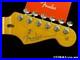 Fender_American_Professional_Classic_Stratocaster_Strat_NECK_TUNERS_USA_Maple_01_iz