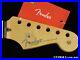 Fender_American_Professional_II_Stratocaster_Strat_NECK_Part_Rosewood_01_wibb