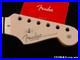 Fender_American_Professional_II_Stratocaster_Strat_NECK_RW_Rosewood_Ltd_MHC_01_dwv