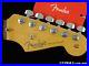 Fender_American_Professional_II_Stratocaster_Strat_NECK_TUNERS_USA_Rosewood_01_bl