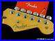 Fender_American_Professional_II_Stratocaster_Strat_NECK_and_TUNERS_Rosewood_01_oh