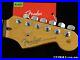 Fender_American_Professional_II_Stratocaster_Strat_NECK_wTUNERS_Rosewood_01_xys