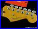 Fender_American_Professional_II_Stratocaster_Strat_NECK_with_TUNERS_Rosewood_01_ovvt