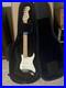 Fender_American_Stratocaster_Maple_Neck_Locking_Tuners_Black_01_so