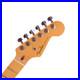 Fender_American_Ultra_II_Stratocaster_Neck_10_14_Maple_Fretboard_withTuners_01_sje