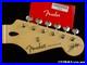 Fender_Buddy_Guy_Stratocaster_Strat_NECK_TUNERS_Maple_V_Shape_01_xa