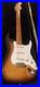 Fender_Classic_50_s_Stratocaster_Flamed_Maple_Neck_Hard_Tweed_Case_Fender_Strap_01_ape