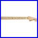 Fender_Classic_Series_70s_Stratocaster_U_Neck_Vintage_Style_Frets_Maple_01_gw