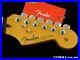 Fender_Cory_Wong_Stratocaster_Strat_NECK_LOCKING_TUNERS_USA_D_Rosewood_01_ul