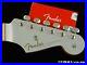 Fender_H_E_R_Stratocaster_Strat_NECK_TUNERS_Painted_Headstock_C_Maple_01_pfe