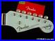 Fender_Kenny_Wayne_Shepherd_Stratocaster_NECK_TUNERS_USA_Rosewood_01_xjkj