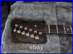 Fender Limited Edition American Professional Stratocaster with Rosewood Neck