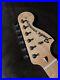 Fender_Mexico_Stratocaster_Neck_from_Japan_01_ttan