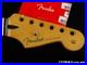 Fender_Player_II_Modified_Strat_NECK_Stratocaster_C_RW_Rosewood_01_ssky