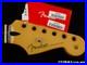 Fender_Player_II_Modified_Strat_NECK_Stratocaster_C_Rosewood_01_bfw