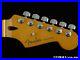 Fender_Player_Plus_Series_Stratocaster_Strat_NECK_LOCKING_TUNERS_C_MN_Maple_01_qyyd