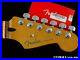 Fender_Player_Plus_Series_Stratocaster_Strat_NECK_LOCKING_TUNERS_C_Pau_Ferro_01_ywil