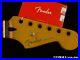 Fender_Player_Plus_Series_Stratocaster_Strat_NECK_Modern_C_Pau_Ferro_01_ofe