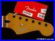 Fender_Player_Plus_Series_Stratocaster_Strat_NECK_Modern_C_Pau_Ferro_01_sa