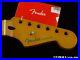 Fender_Player_Plus_Series_Stratocaster_Strat_NECK_Modern_C_Shape_Maple_01_vmf