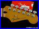 Fender_Player_Plus_Series_Stratocaster_Strat_NECK_with_LOCKING_TUNERS_C_Pau_Ferro_01_yeaz