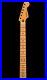 Fender_Player_Plus_Stratocaster_Neck_06031_01_pd