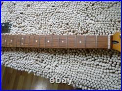 Fender Player Plus Stratocaster Pau Ferro Neck 12 Radius 22 Fret Locking Tuners