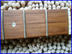Fender Player Plus Stratocaster Pau Ferro Neck 12 Radius 22 Fret Locking Tuners
