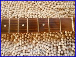 Fender Player Plus Stratocaster Strat Neck 12 Radius 22 Frets Locking Tuners