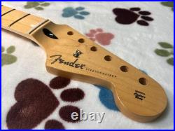 Fender Player Stratocaster Maple Neck 9.5 Radius 22 Fret