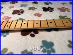 Fender Player Stratocaster Maple Neck 9.5 Radius 22 Fret