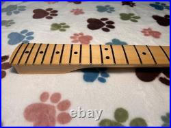 Fender Player Stratocaster Maple Neck 9.5 Radius 22 Fret