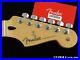 Fender_Player_Stratocaster_Strat_NECK_with_TUNERS_9_5_Modern_C_Shape_Maple_01_avm