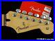 Fender_Player_Stratocaster_Strat_NECK_with_TUNERS_Modern_C_Shaped_Pau_Ferro_01_mt