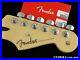 Fender_Player_Stratocaster_Strat_NECK_with_TUNERS_Part_C_Pau_Ferro_01_cf